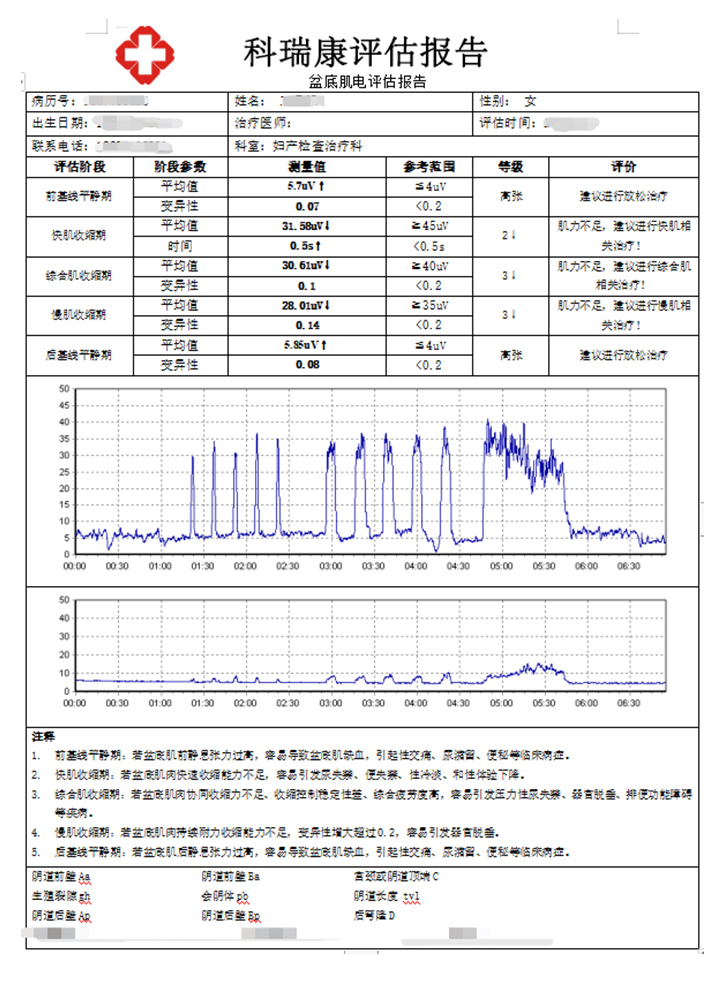 评估报告