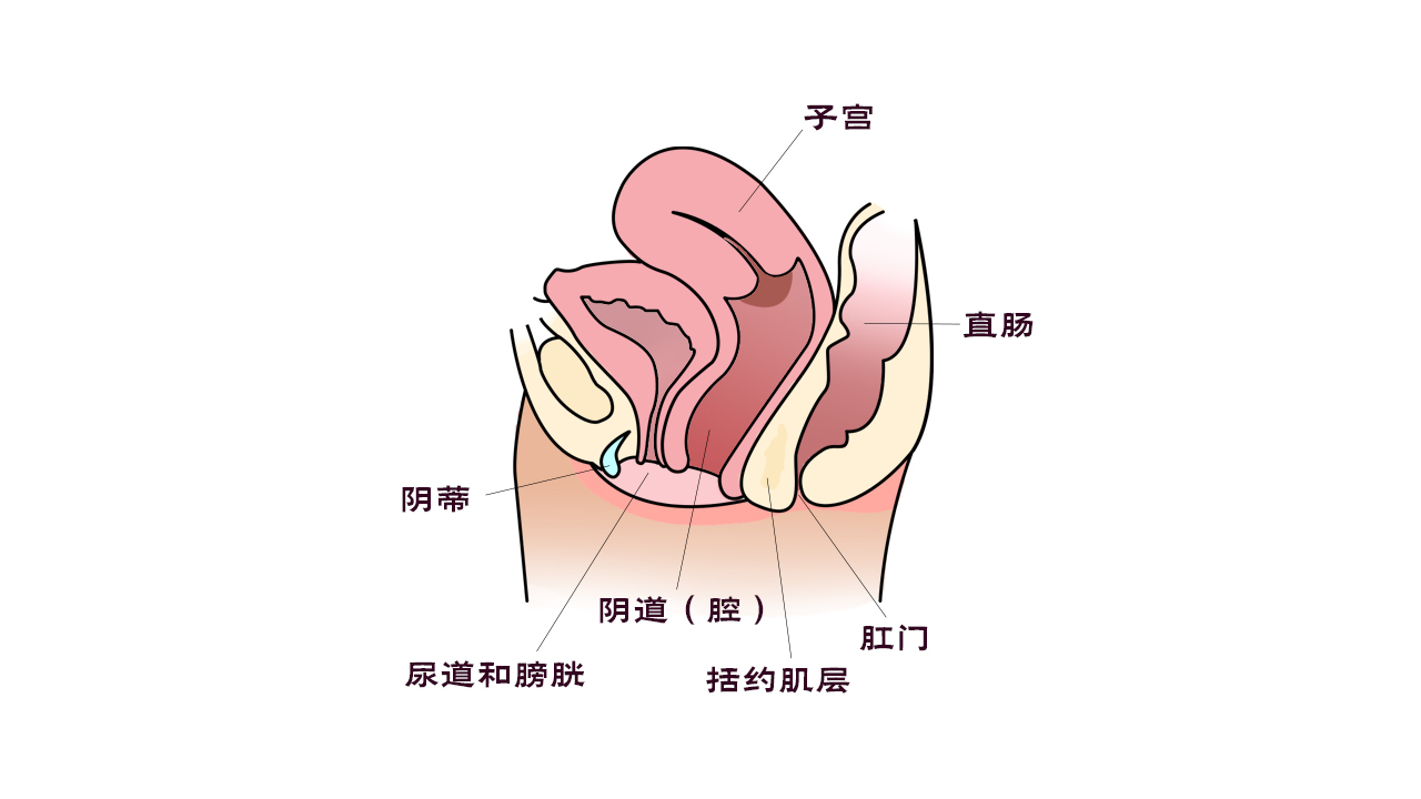 乐普电刺激生物反馈治疗仪